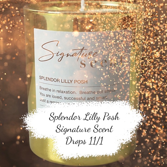 Splendor Lilly Posh Signature Scent Warm Vanilla Sugar Soy Wax Candle - Picture 2 of 7